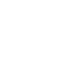 VIETWOW